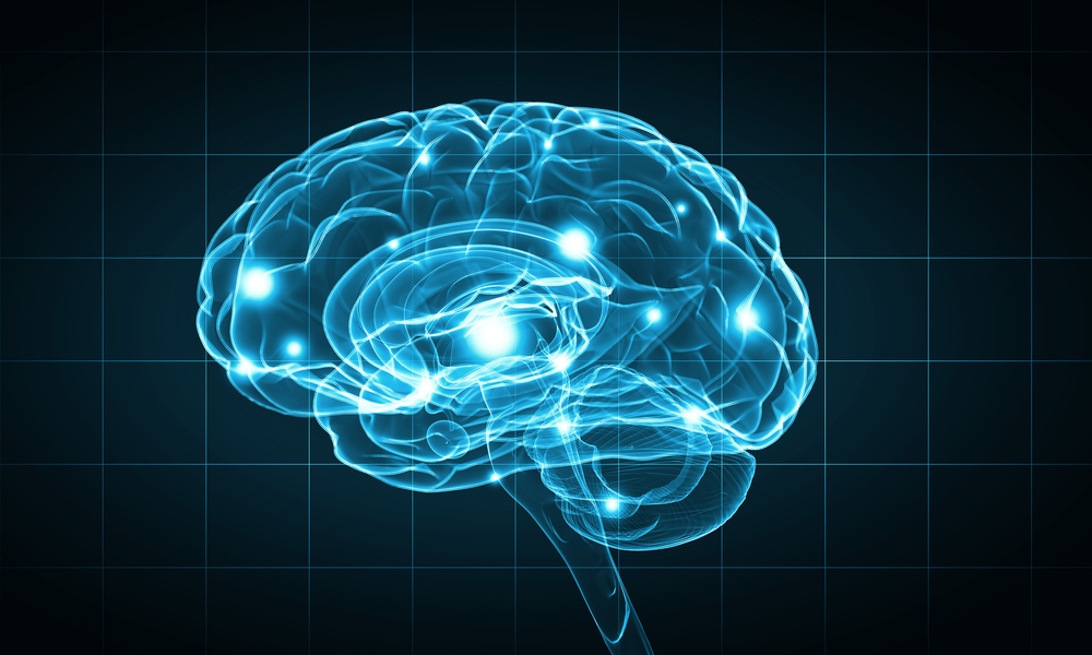 brain