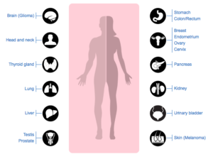 The Human Protein Atlas