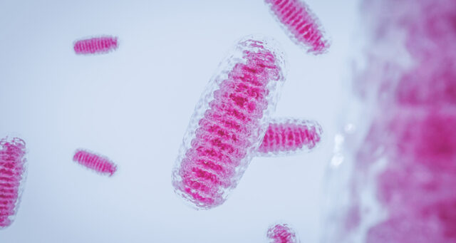 Abliva's NV354 to progress to clinical development