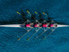 Strengthened team and cash position for Dicot