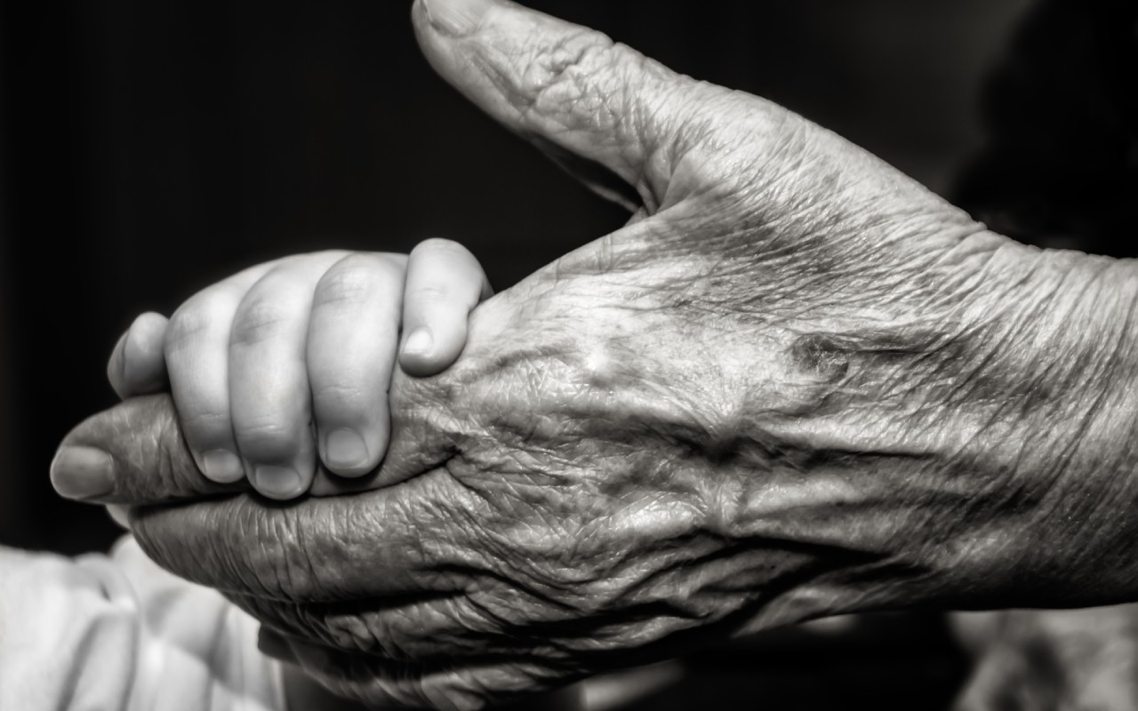 FDA-godkännande och starka data positionerar Alzinova inför fas II