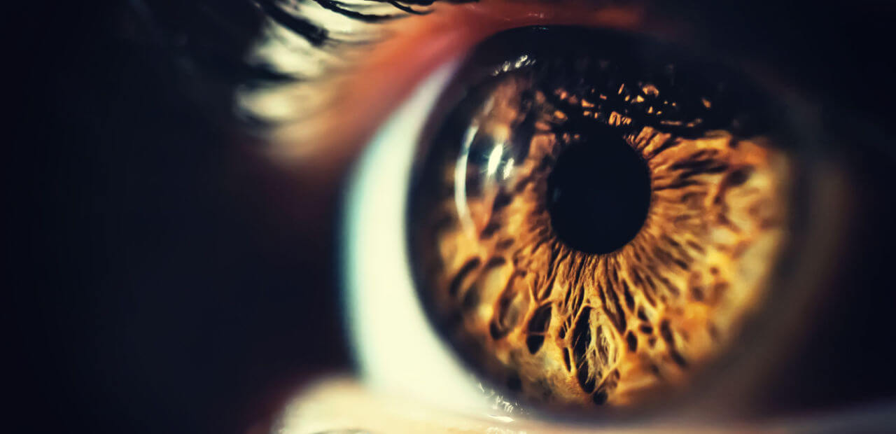 Annexin imaging data