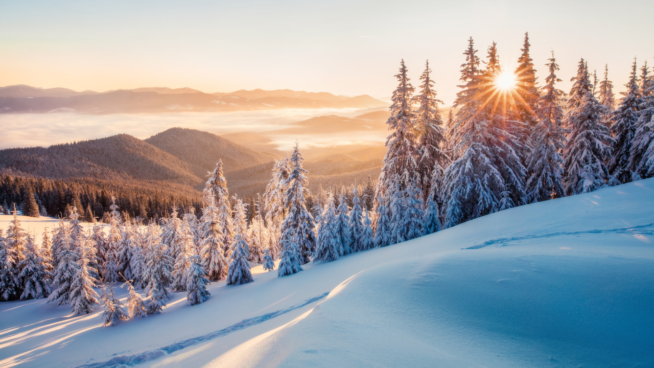 Aptahem's CEO on expectations for 2024