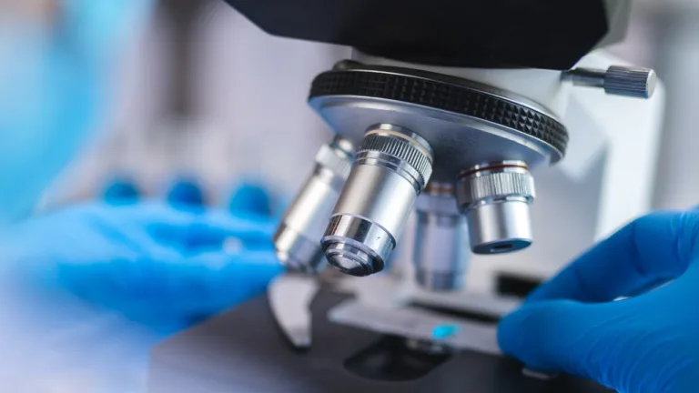 BioInvent prepares for a data-rich 2025
