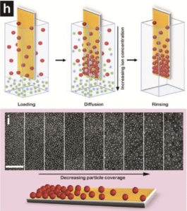 Cline Scientifics Nanoytor