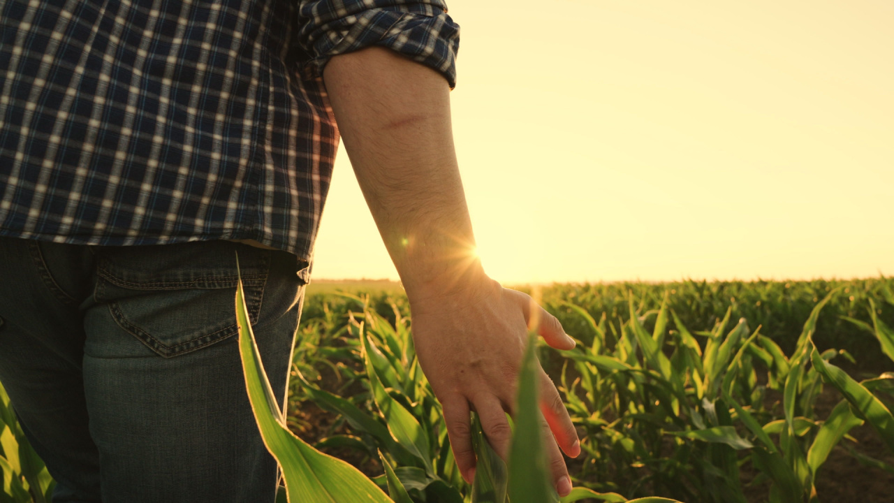 Evaxion unveils genetic adjuvant technology to boost vaccines