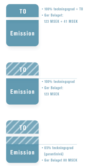 Emissionsvolym A1M Pharma