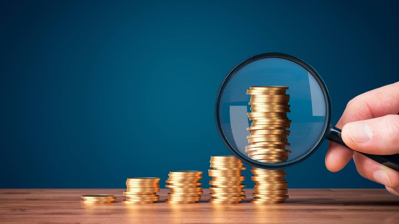 Investor