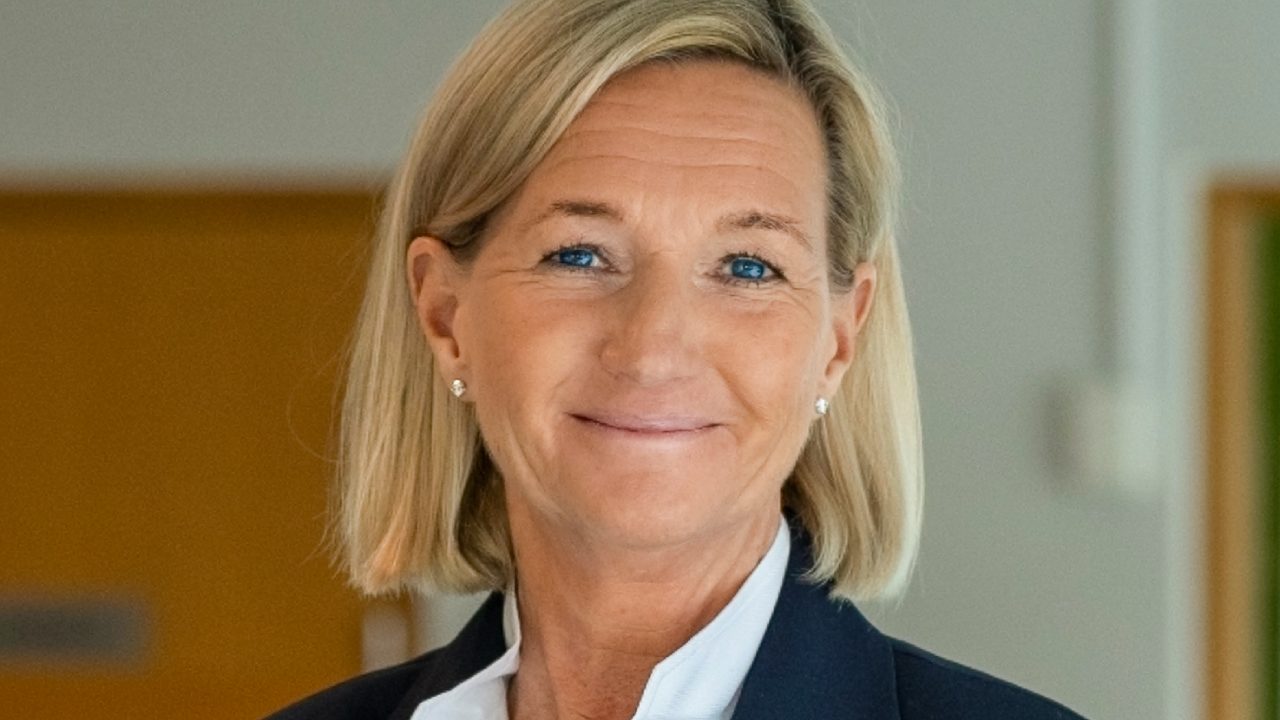 Karin Wehlin, vd Diagonal Bio