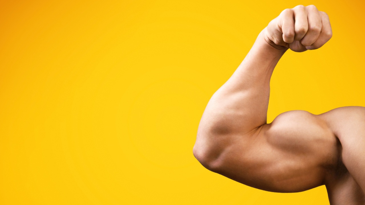 Xvivo increases sales