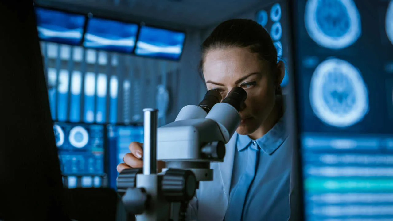 Lipum växlar upp inför fas II – tydliga besked i Q3