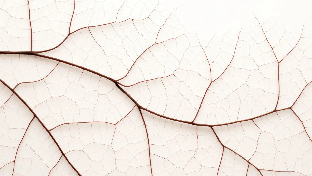 Verigraft når historisk milstolpe – första patientresultaten med P-TEV