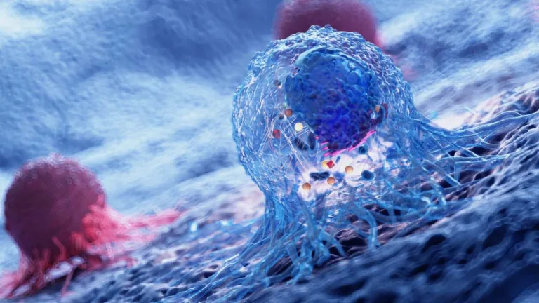 Cancercell
