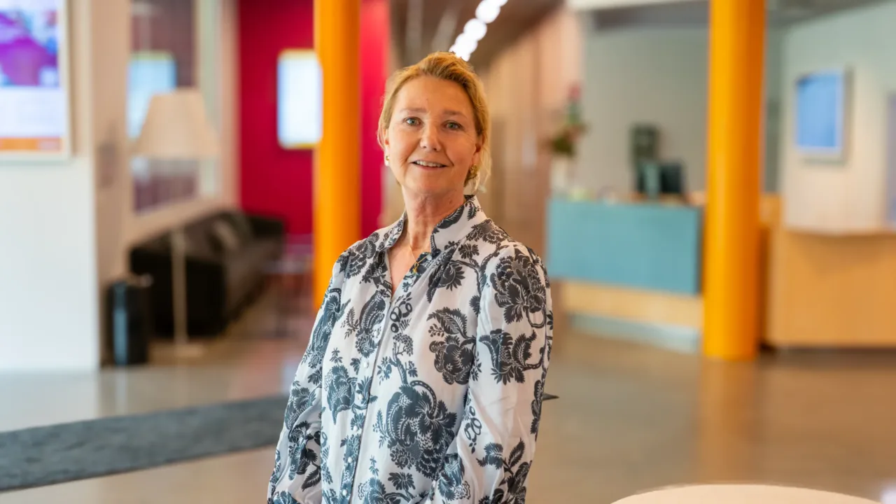 Hilde Steineger