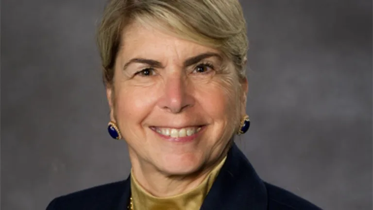 Donna Edmonds, vd Brainbox