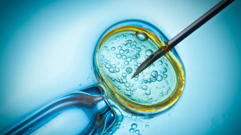 IVF-spruta